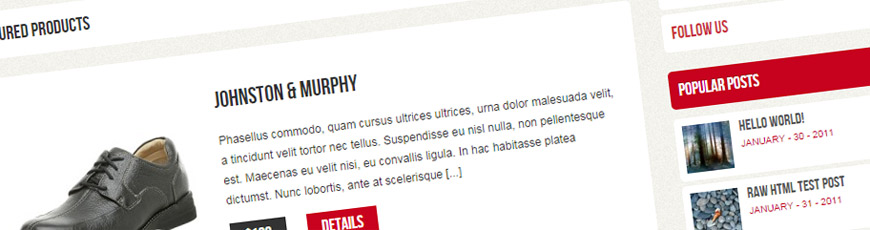 theme ebuy wordpress