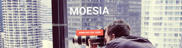 plantilla gratis wordpress moesia